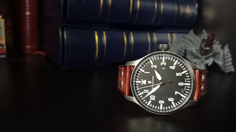 Steinhart Titan Pilot